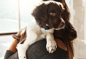 owner cuddling dog, depicting the question: how much does a dog cost